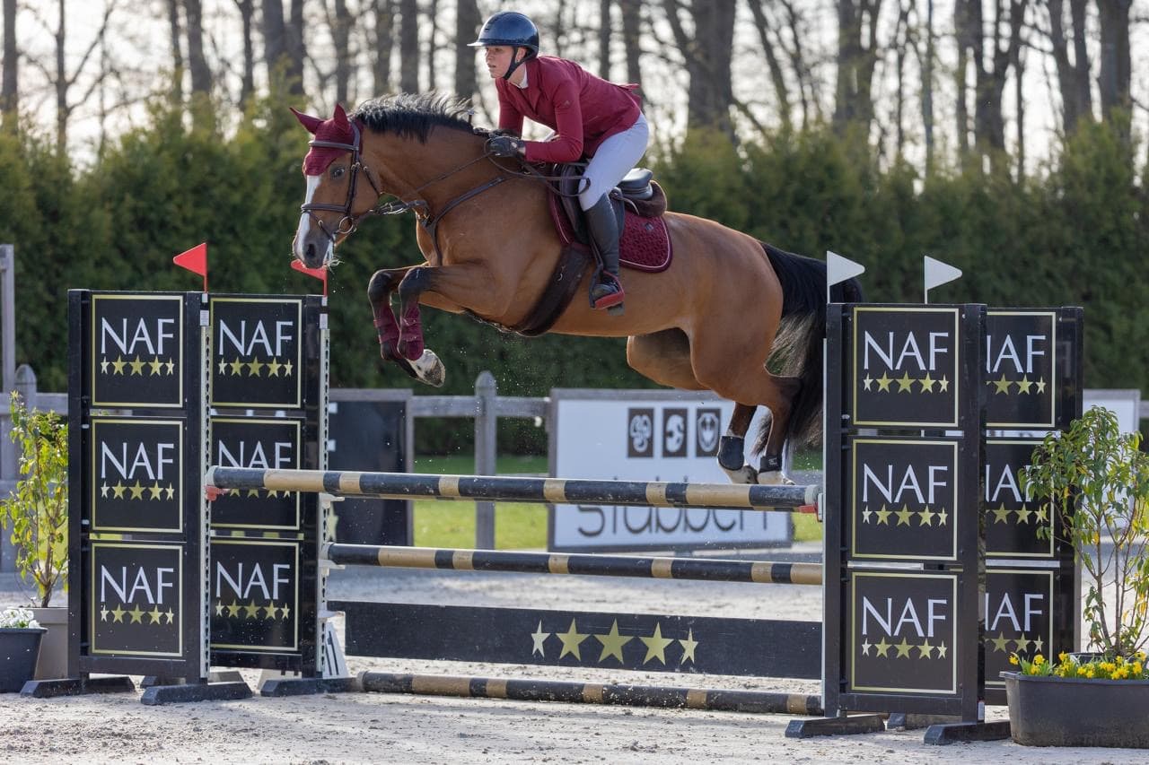 Show jumping horse and rider clearing an obstacle